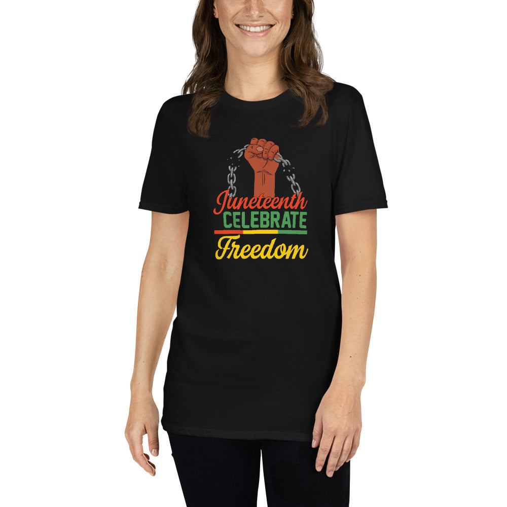 Celebrate freedom unisex t-shirt