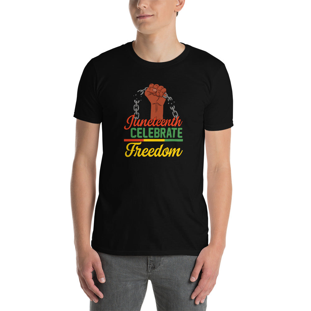 Celebrate freedom unisex t-shirt