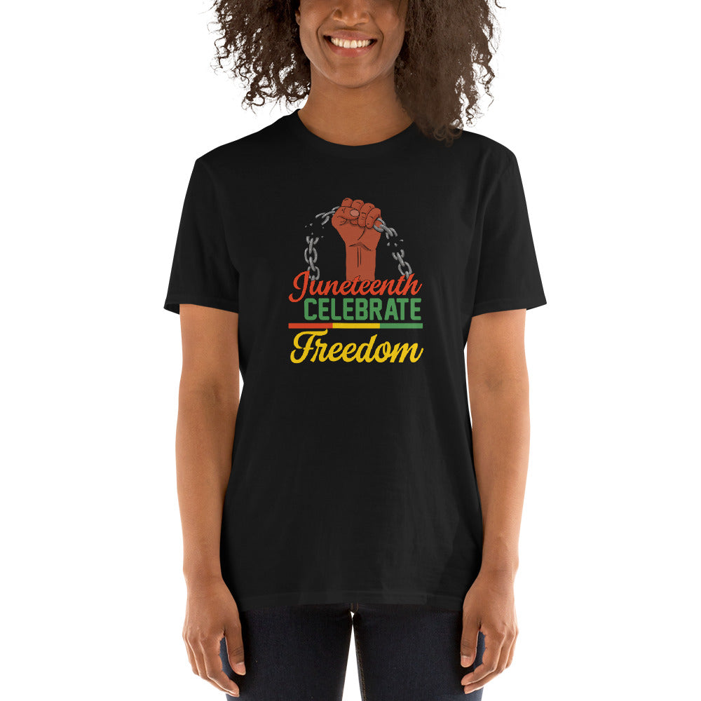 Celebrate freedom unisex t-shirt